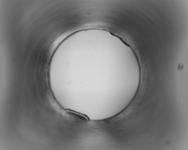 X0000110740960200907061004