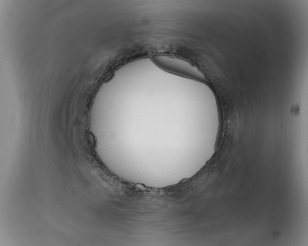 X0000110740961200907061003