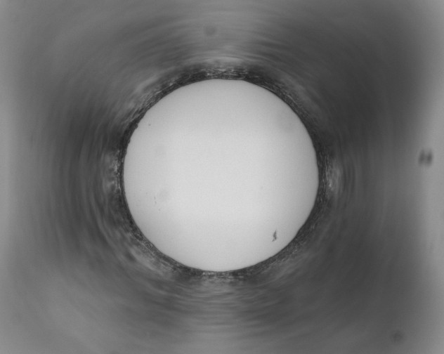 X0000110740964200907061003