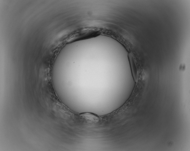 X0000110740965200907061003