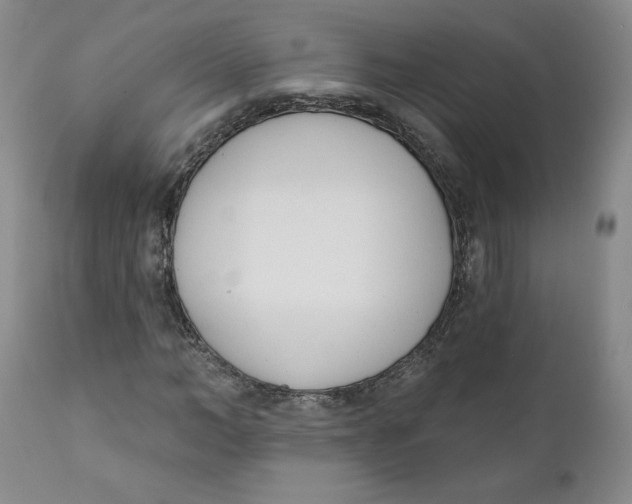 X0000110740966200907061003