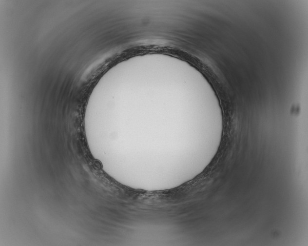 X0000110740967200907061003