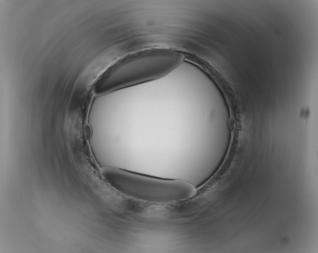 X0000110740969200907061003