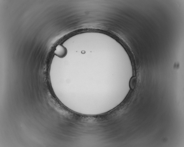 X0000110740971200907061003