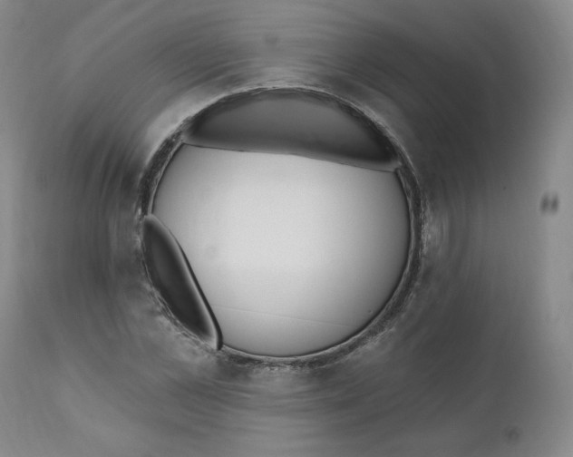 X0000110740973200907061003