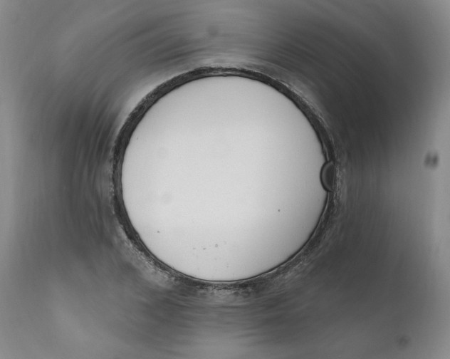 X0000110740976200907061003