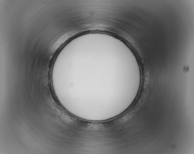 X0000110740978200907061003