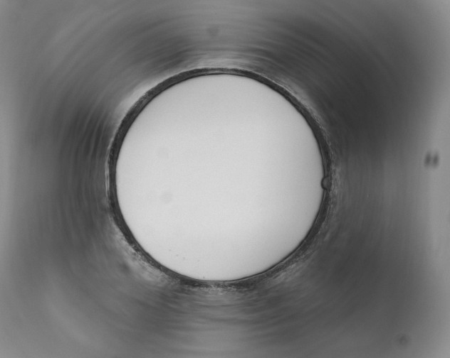 X0000110740980200907061003