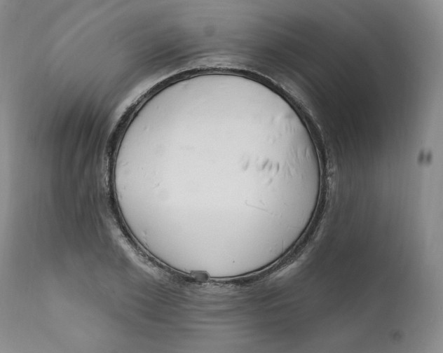 X0000110740981200907061003