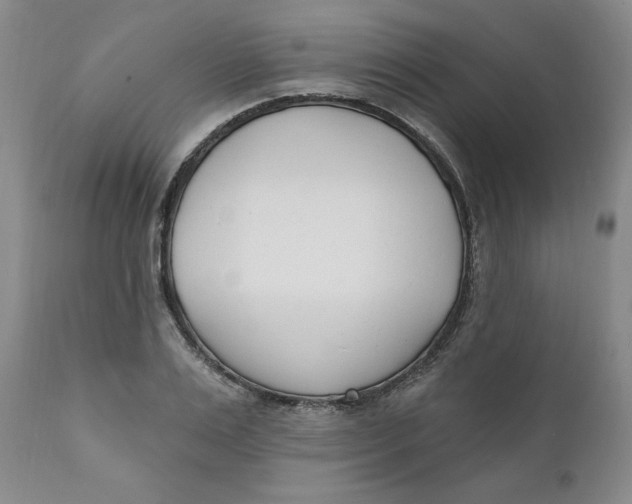 X0000110740983200907061003