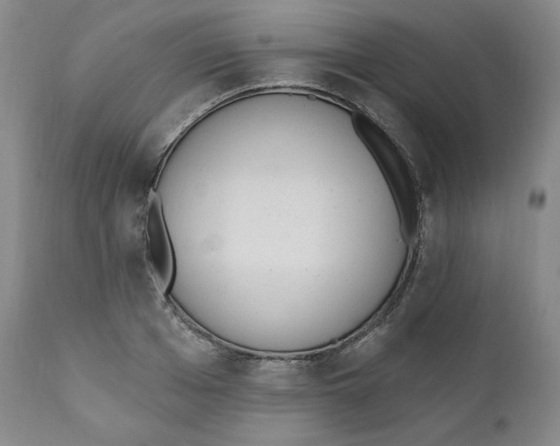 X0000110740985200907061003