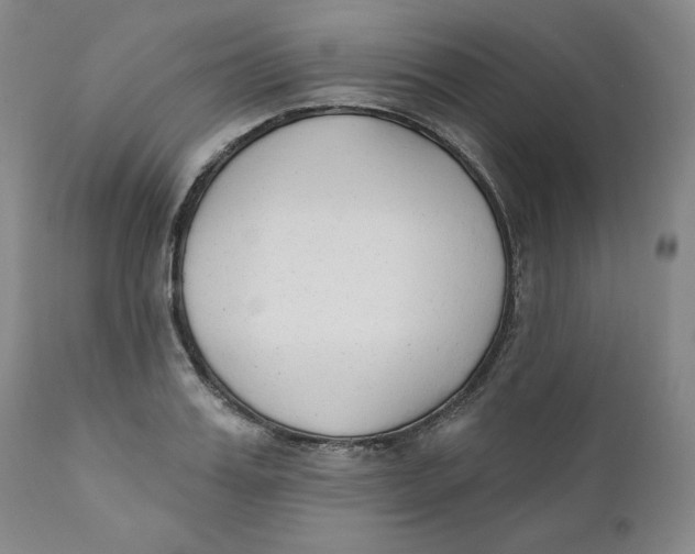 X0000110740987200907061003