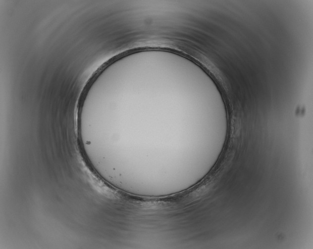 X0000110740988200907061003