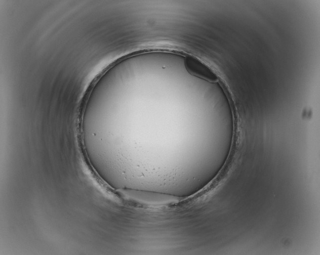 X0000110740989200907061003