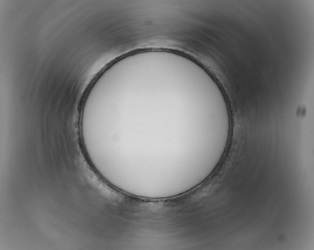 X0000110740990200907061003