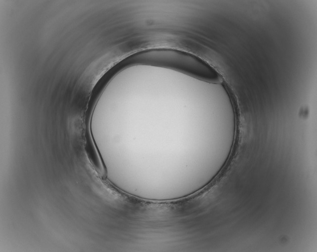 X0000110740993200907061003