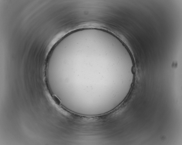 X0000110740997200907061003