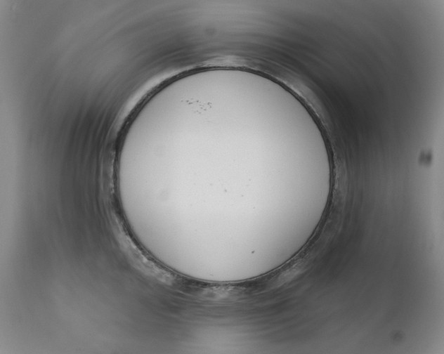 X0000110741000200907061003