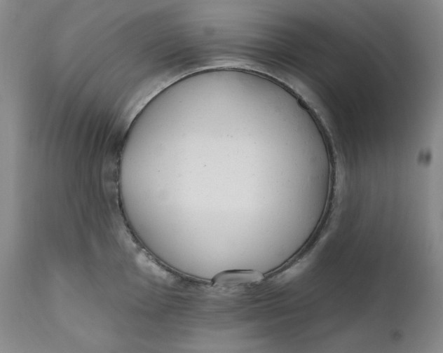 X0000110741001200907061003