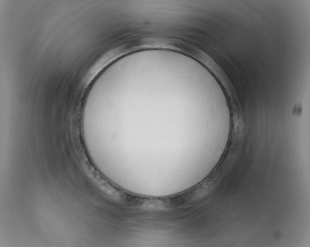 X0000110741002200907061002