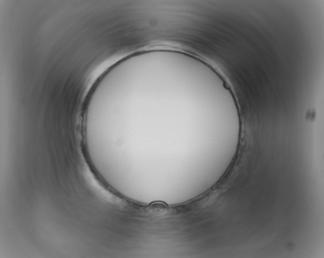 X0000110741003200907061002