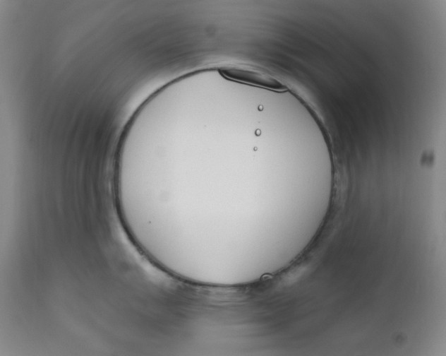 X0000110741007200907061002