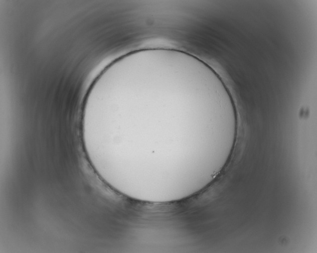 X0000110741008200907061002