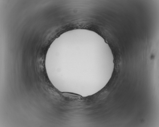 X0000110741010200907061002