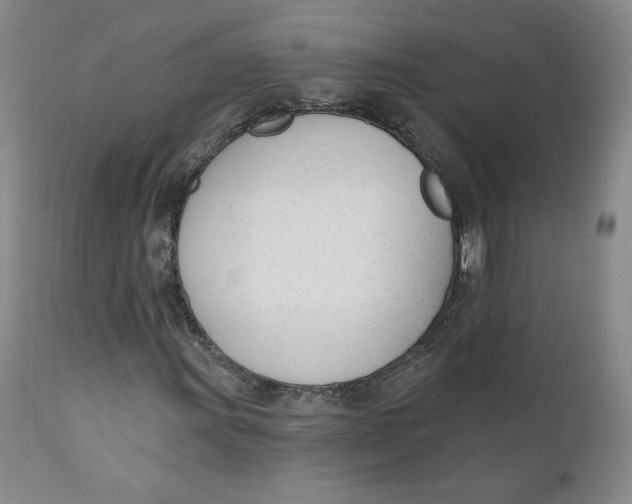 X0000110741011200907061002