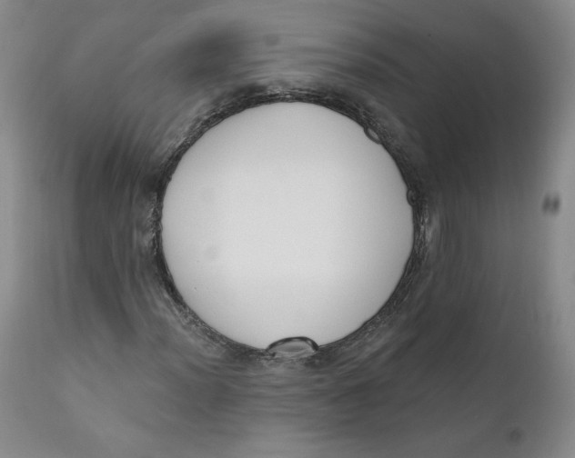 X0000110741012200907061002