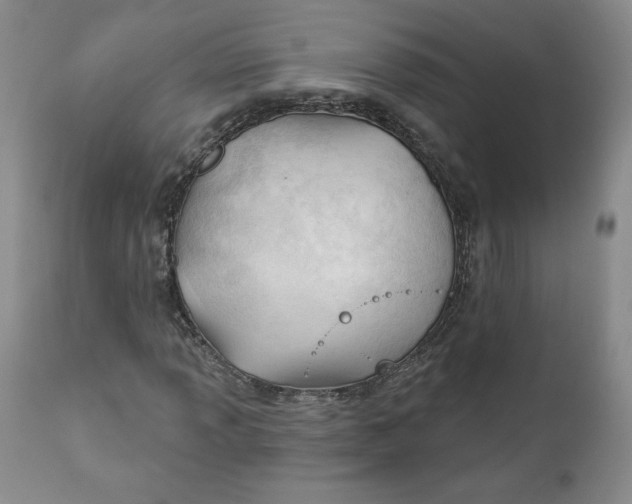 X0000110741013200907061002