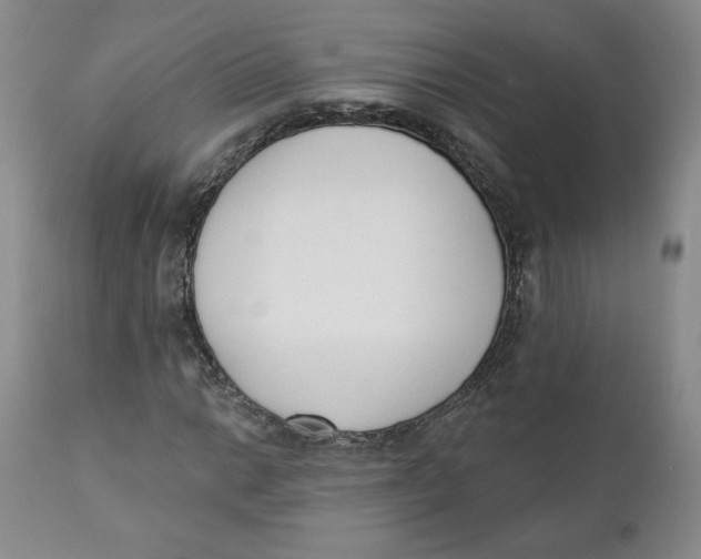 X0000110741014200907061002