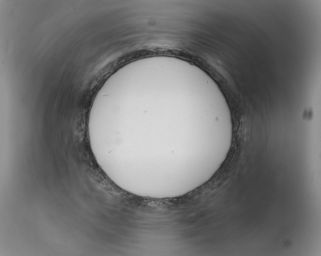 X0000110741015200907061002