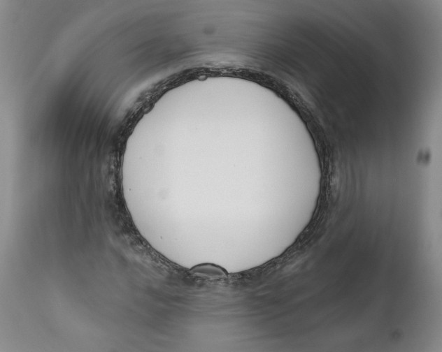 X0000110741016200907061002