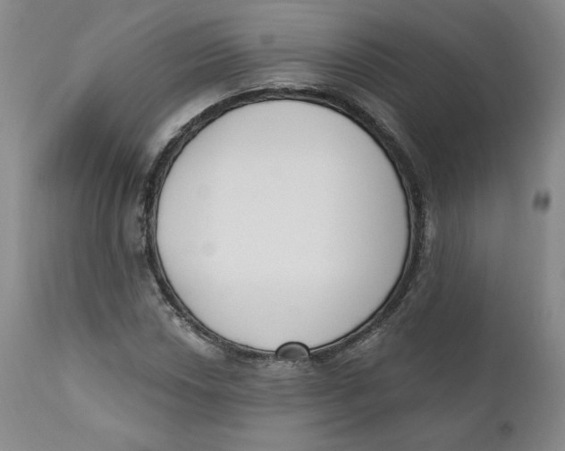 X0000110741018200907061002