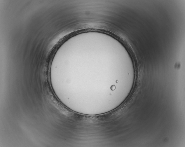 X0000110741019200907061002