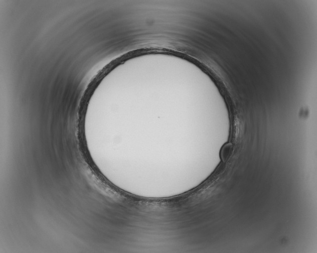 X0000110741020200907061002