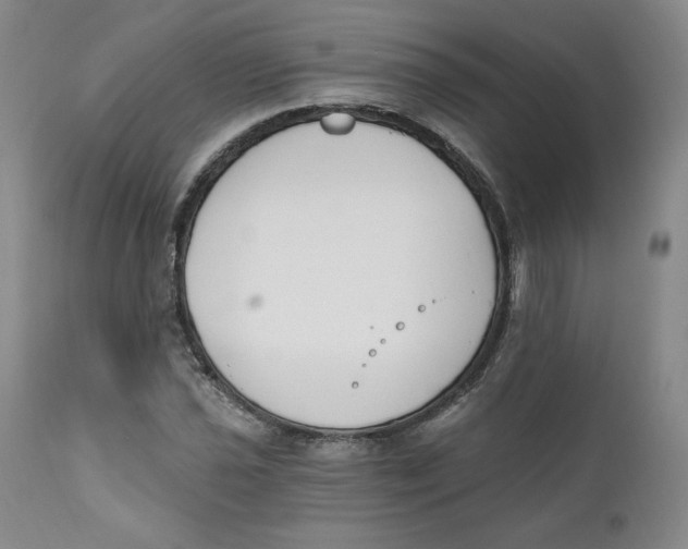 X0000110741021200907061002