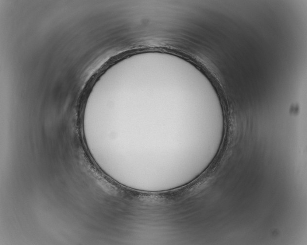 X0000110741023200907061002