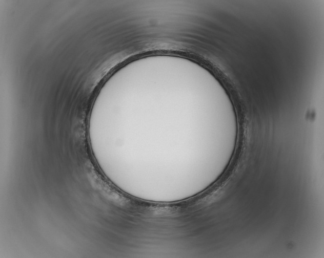 X0000110741025200907061002