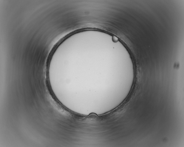 X0000110741028200907061002