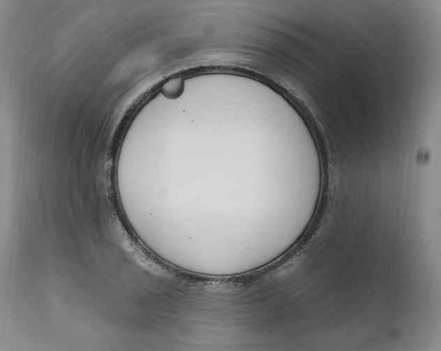 X0000110741029200907061002