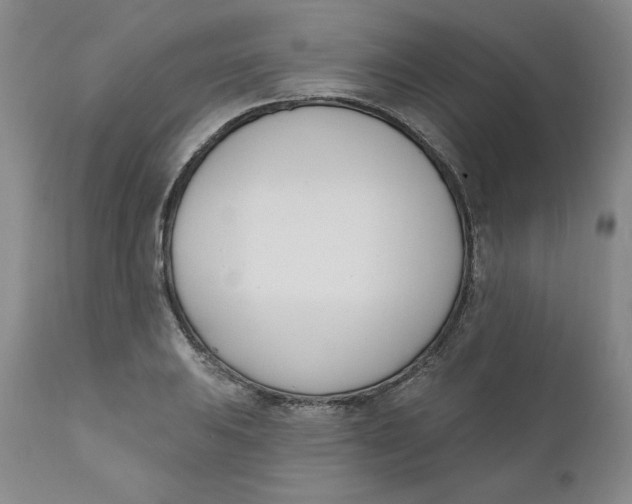 X0000110741031200907061002