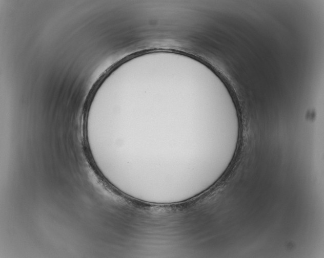 X0000110741032200907061002