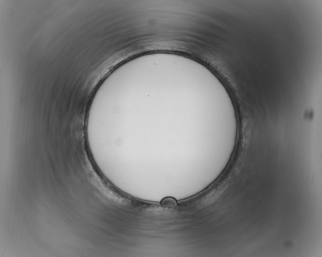 X0000110741033200907061002