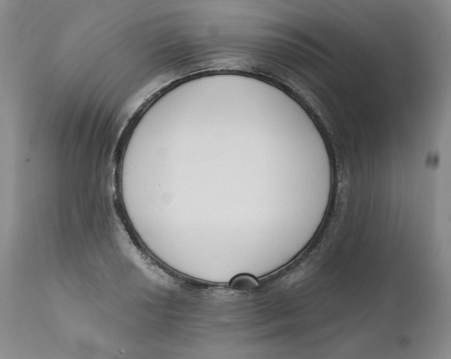 X0000110741034200907061002