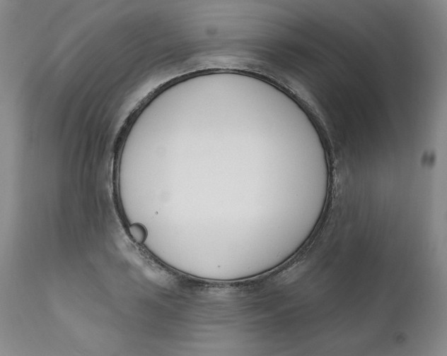 X0000110741035200907061002