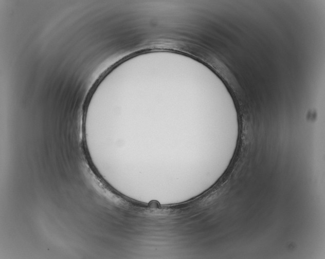 X0000110741036200907061002