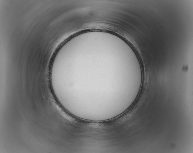 X0000110741037200907061002