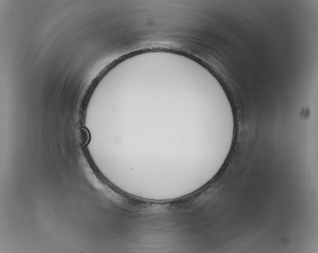 X0000110741038200907061002